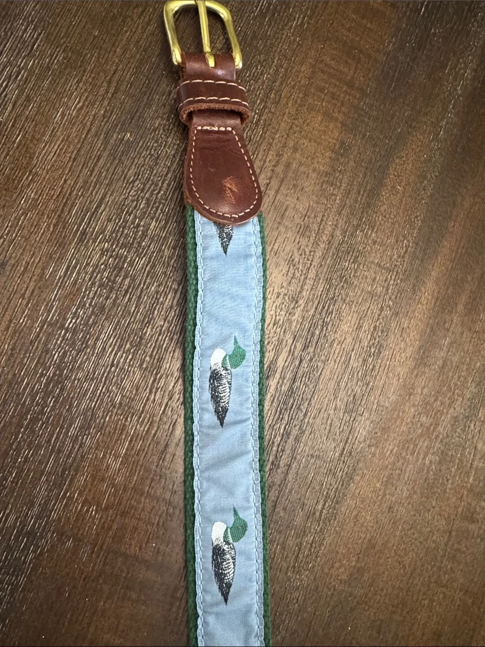 Preston & York Light Blue Kids Belt with Brown Leather Ends and Green Embroidery